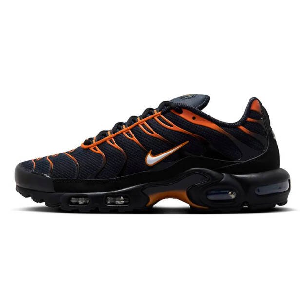 Air Max Plus TN 1 "Dark Obsidian/Monarch"